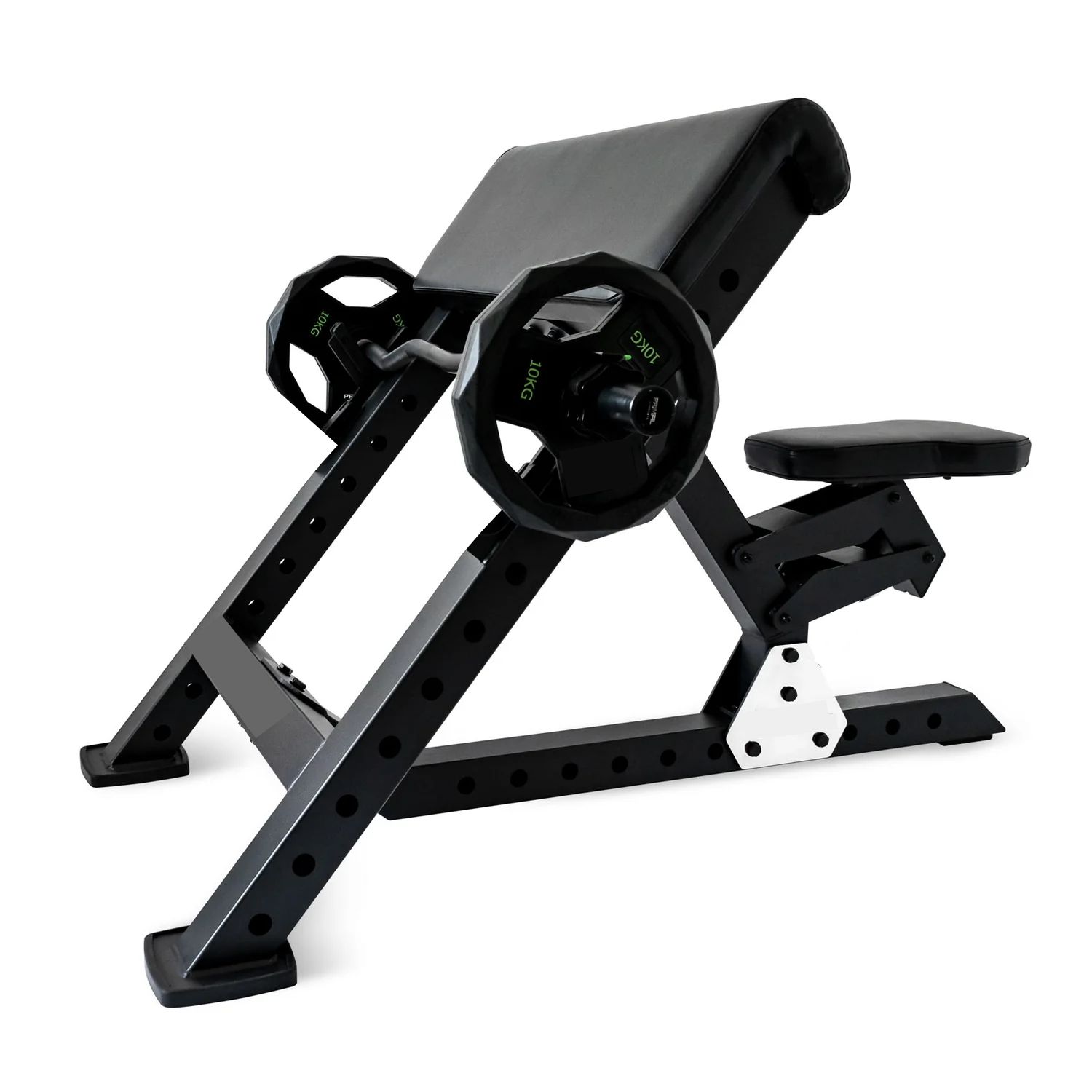 XWorks Preacher Scott Curl Bench Sehpa