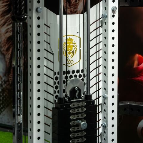 XWORKS Dual Adjustable Pulley – DAP (PLX0216)