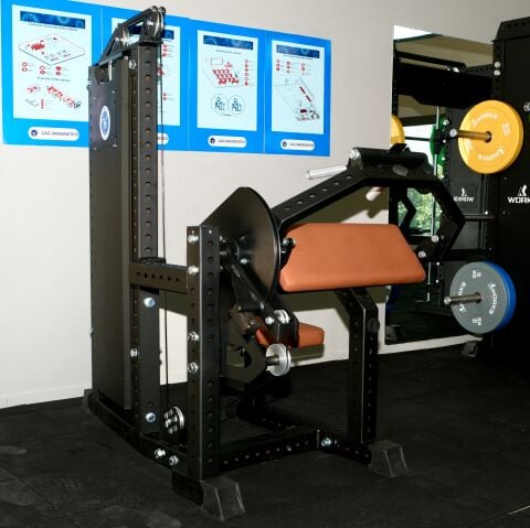 XWORKS Biceps Trices Combo - Ön Arka Kol Kombo (PLX0020)