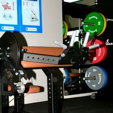 XWORKS Biceps Trices Combo - Ön Arka Kol Kombo (PLX0020)