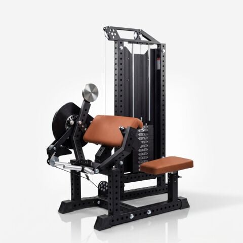 XWORKS Biceps Trices Combo - Ön Arka Kol Kombo (PLX0020)