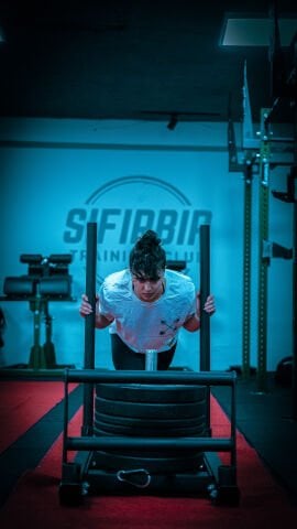 XWORKS Kızak– Sled İtme Çekme Kızağı (FWX0042)