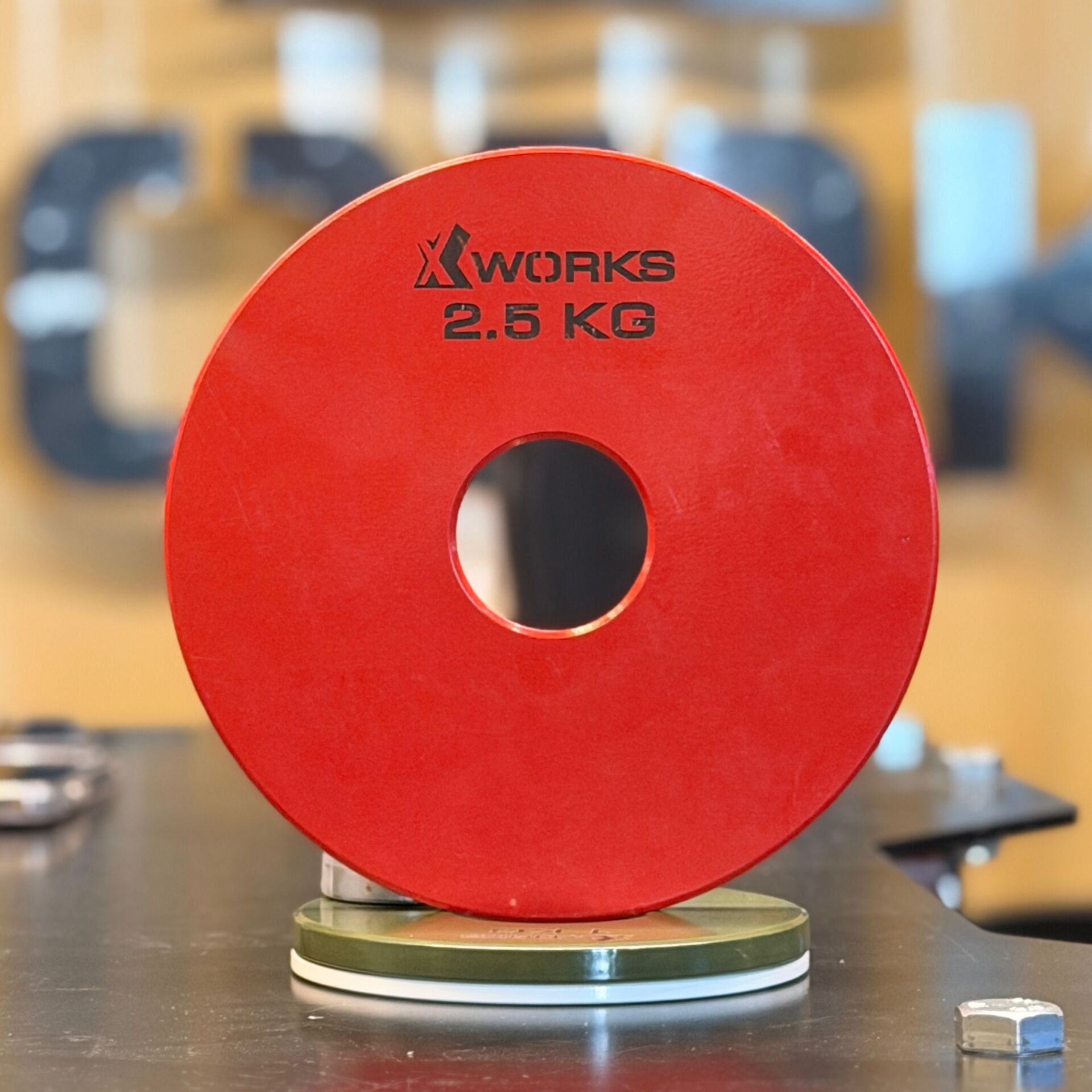 XWORKS Renki Mikro Metal Plaka | Powerlifting Çelik Ağırlık Plakası (Çift) (FWX7001)
